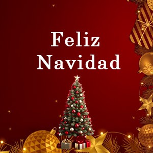 Felices fiestas!