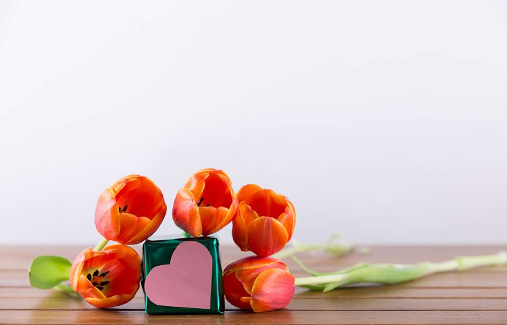 Kit Trimestral: tendencias y fechas clave