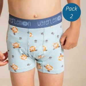Boxer infantil algod&oacute;n pack 2 estampado goma vista