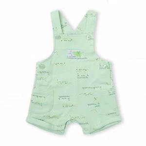 Conjunto beb&eacute; algod&oacute;n peto y camiseta