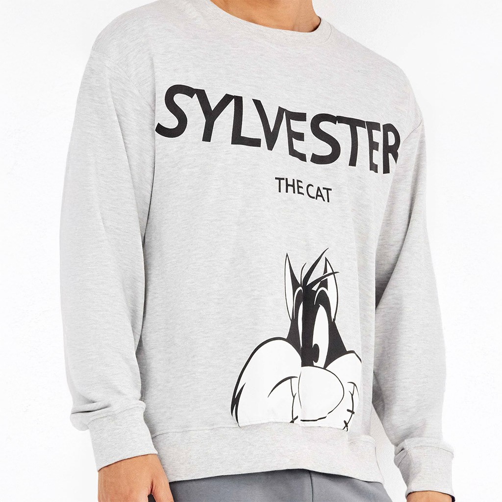 Pijama hombre manga larga Sylvester