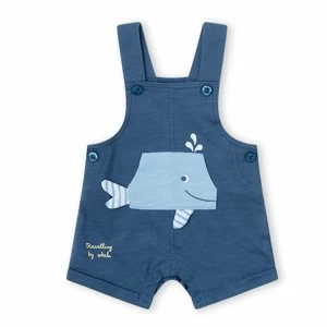 Conjunto beb&eacute; dos piezas peto algod&oacute;n